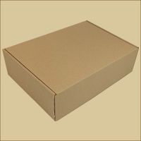 Faltschachtel 333 x 240 x 94 mm Versandschachtel Warenpost International Verpackungseinheit (Stück): 10